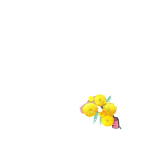 Treasure ~ Flowers of Friendship * Acacia